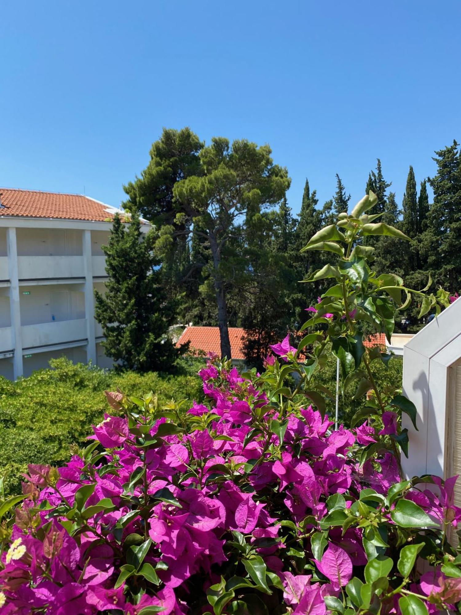 Apartmani Dusanka Orebić Exterior foto